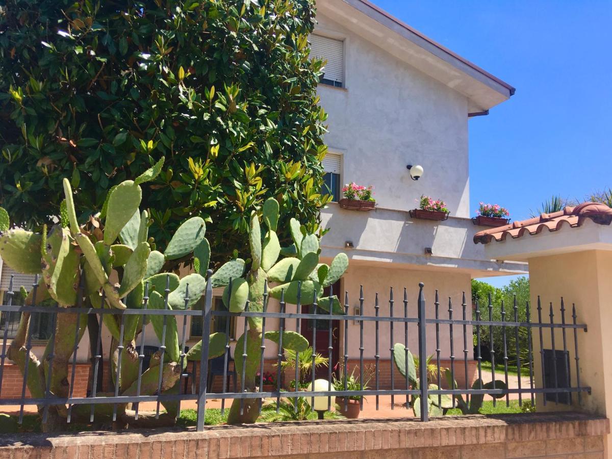 A Casa Di Tati Bed & Breakfast Civitanova Marche Dış mekan fotoğraf